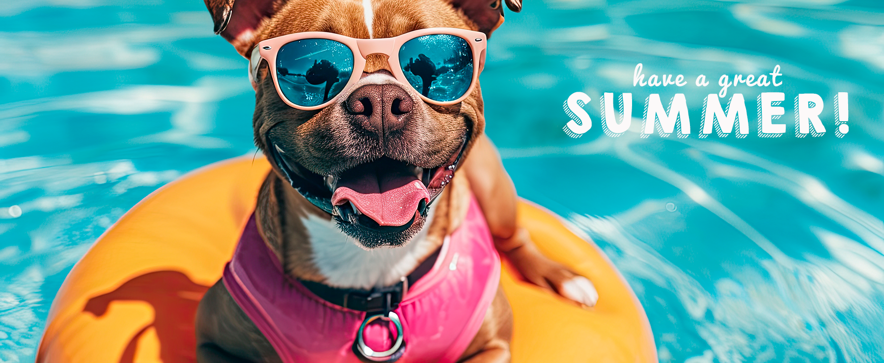 Have a Great Summer Cardinals!